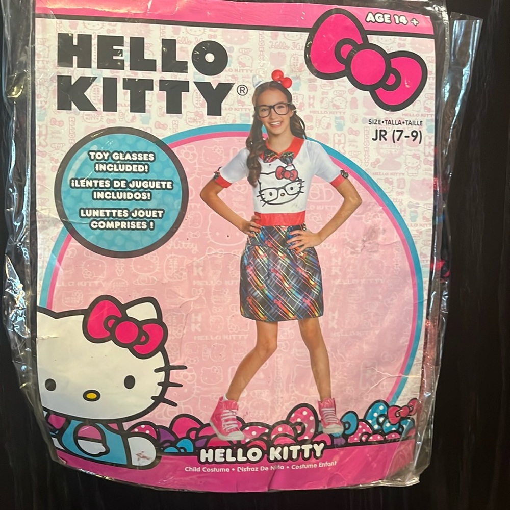 Hello kitty costume